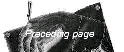 images/precpage.bmp